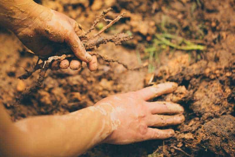 Η αλλεργική επιδημία