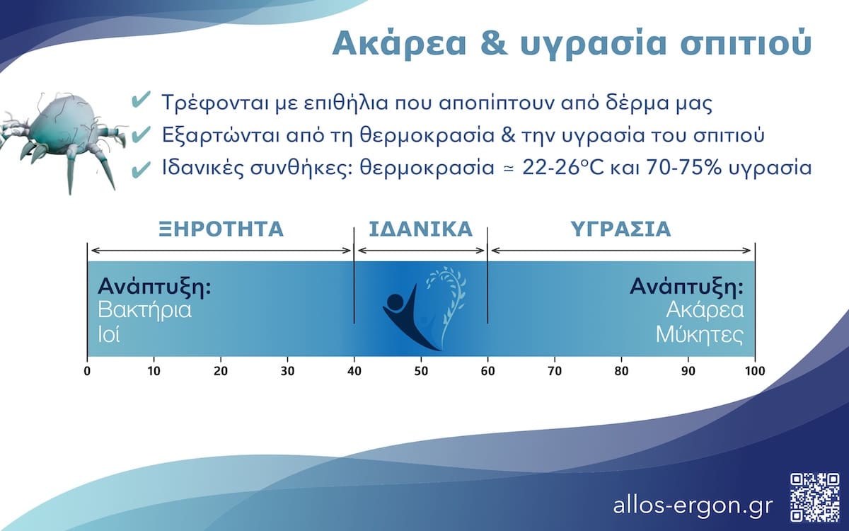 Ακάρεα και υγρασία σπιτιού