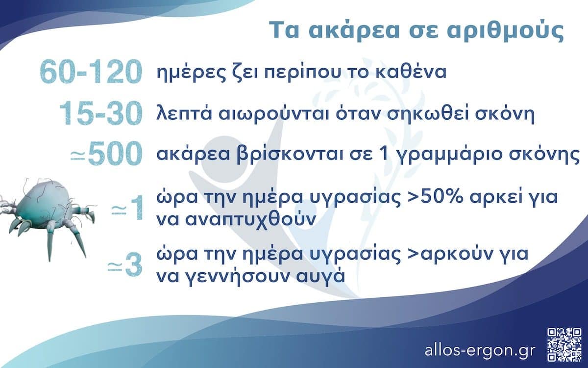 Τα ακάρεα σε αριθμούς