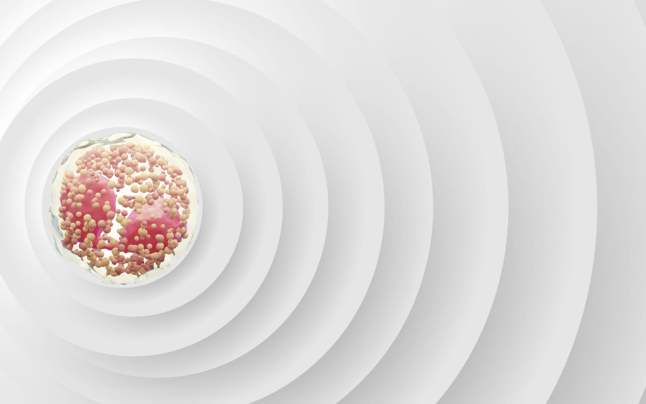 Ηωσινόφιλα