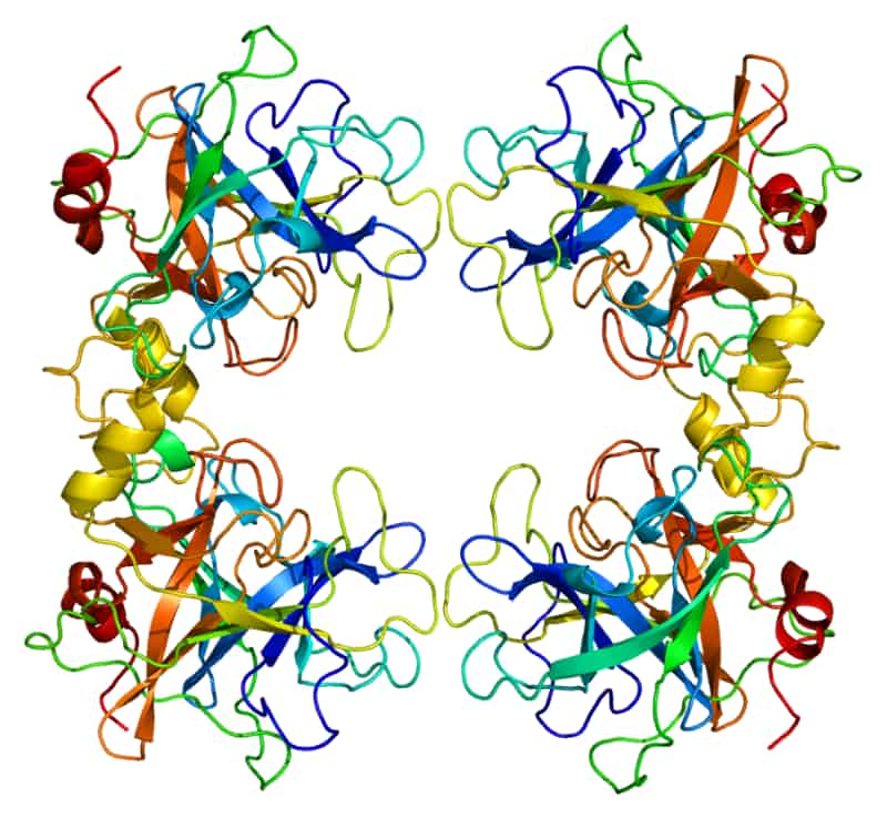 Το γονίδιο TPSAB1 By Emw - Own work, CC BY-SA 3.0, https://commons.wikimedia.org/w/index.php?curid=8821968