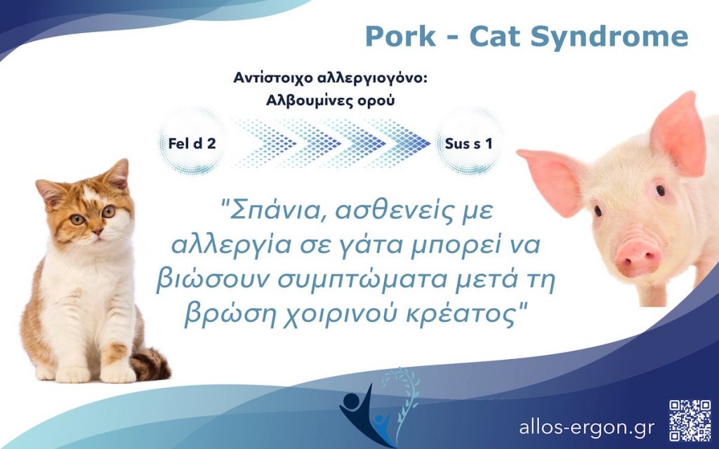 pork cat syndrome 
