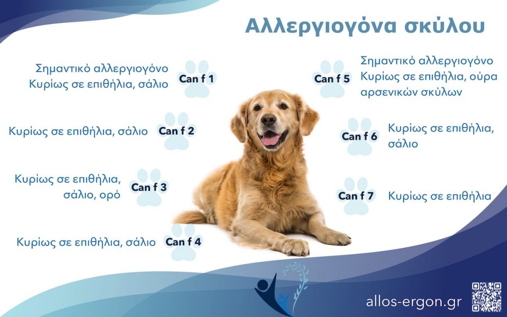 αλλεργία σε σκύλο αλλεργιογόνα
